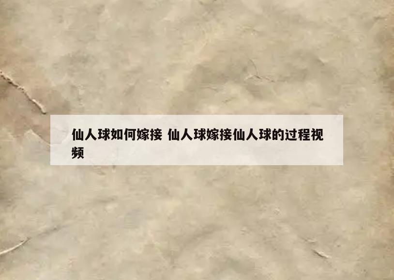 仙人球如何嫁接 仙人球嫁接仙人球的过程视频