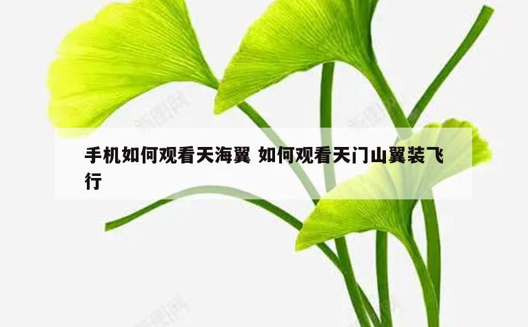 手机如何观看天海翼 如何观看天门山翼装飞行