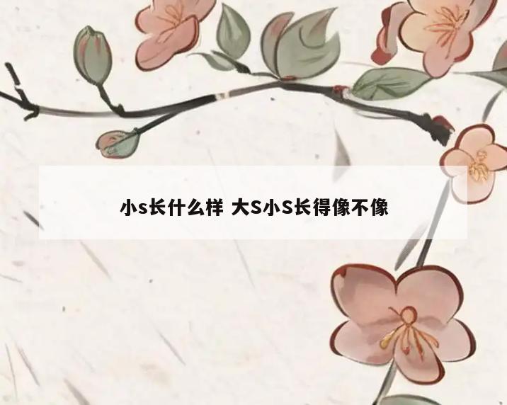 小s长什么样 大S小S长得像不像