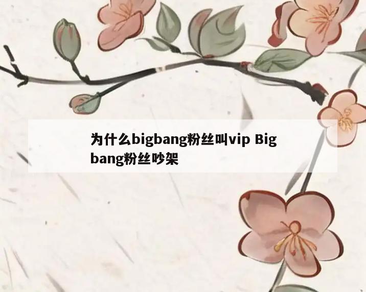 为什么bigbang粉丝叫vip Bigbang粉丝吵架