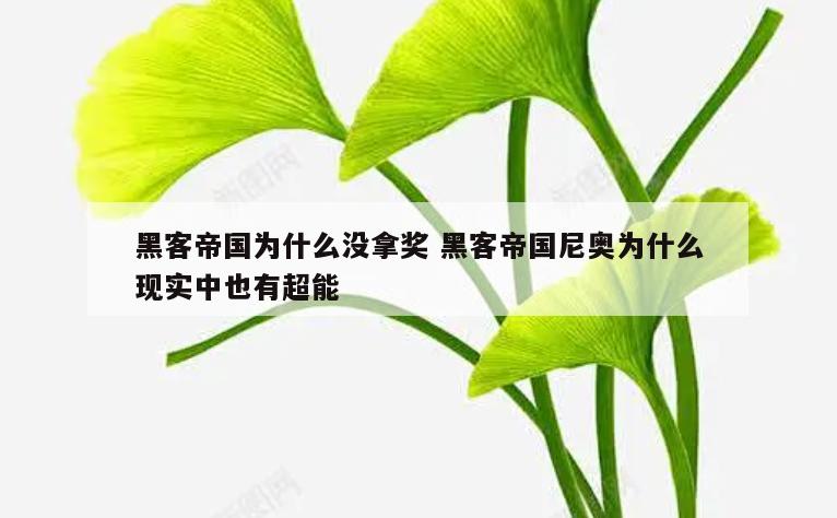 黑客帝国为什么没拿奖 黑客帝国尼奥为什么现实中也有超能