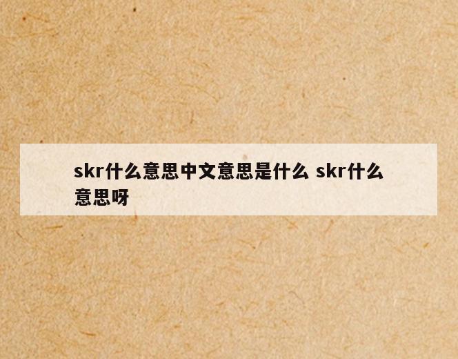 skr什么意思中文意思是什么 skr什么意思呀