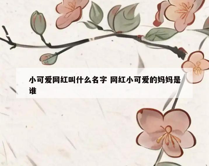 小可爱网红叫什么名字 网红小可爱的妈妈是谁