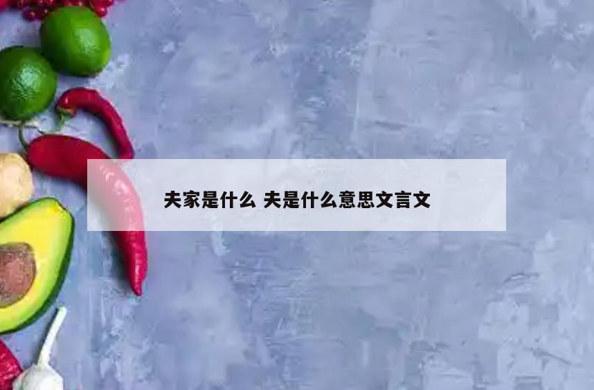 夫家是什么 夫是什么意思文言文