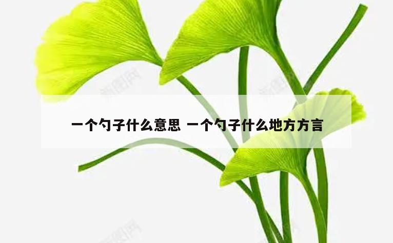 一个勺子什么意思 一个勺子什么地方方言