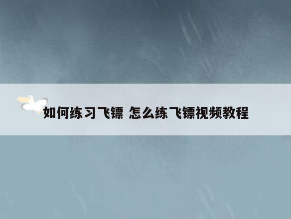 如何练习飞镖 怎么练飞镖视频教程