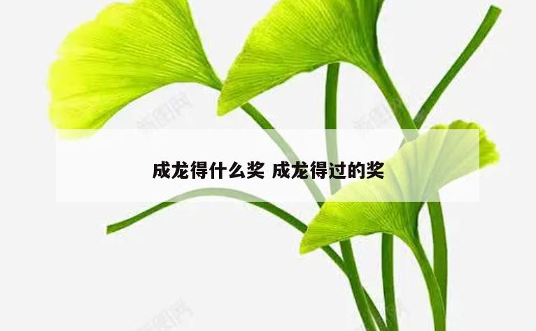 成龙得什么奖 成龙得过的奖