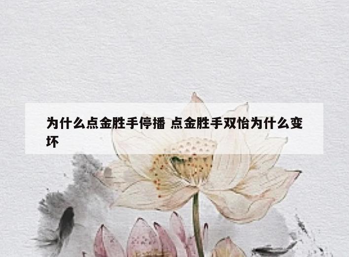 为什么点金胜手停播 点金胜手双怡为什么变坏