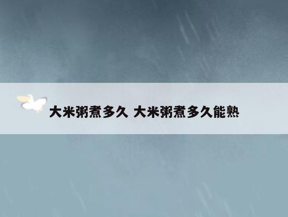 大米粥煮多久 大米粥煮多久能熟