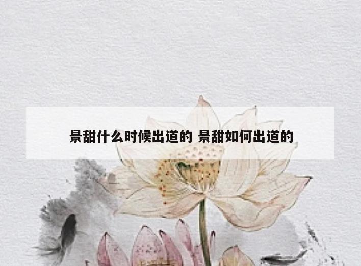 景甜什么时候出道的 景甜如何出道的