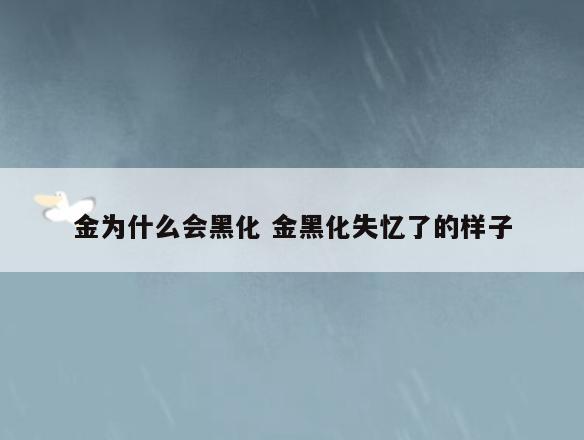 金为什么会黑化 金黑化失忆了的样子