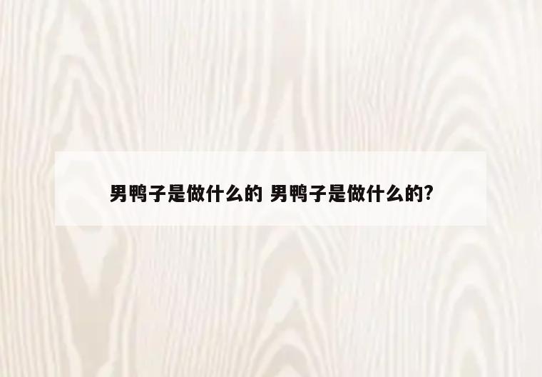 男鸭子是做什么的 男鸭子是做什么的?