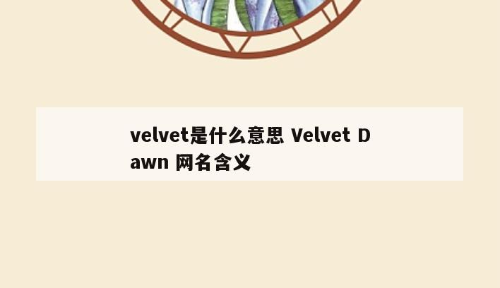 velvet是什么意思 Velvet Dawn 网名含义