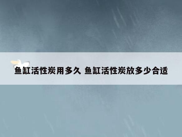 鱼缸活性炭用多久 鱼缸活性炭放多少合适