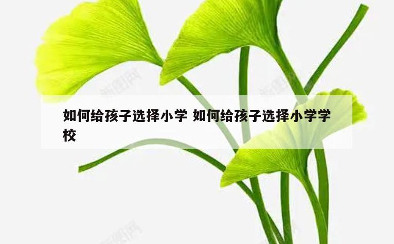 如何给孩子选择小学 如何给孩子选择小学学校