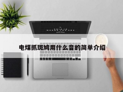电煤抓斑鸠用什么音的简单介绍
