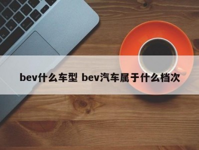 bev什么车型 bev汽车属于什么档次