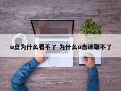 u盘为什么看不了 为什么u盘读取不了