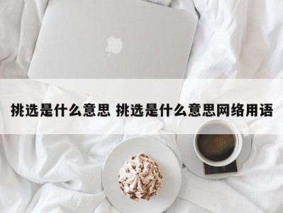 挑选是什么意思 挑选是什么意思网络用语