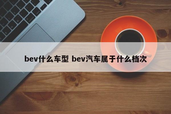 bev什么车型 bev汽车属于什么档次