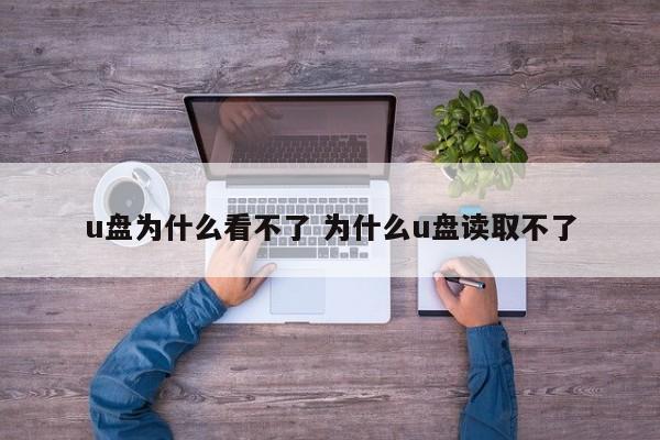 u盘为什么看不了 为什么u盘读取不了