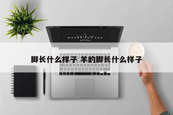 脚长什么样子 羊的脚长什么样子
