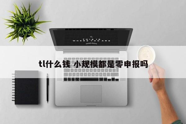 tl什么钱 小规模都是零申报吗