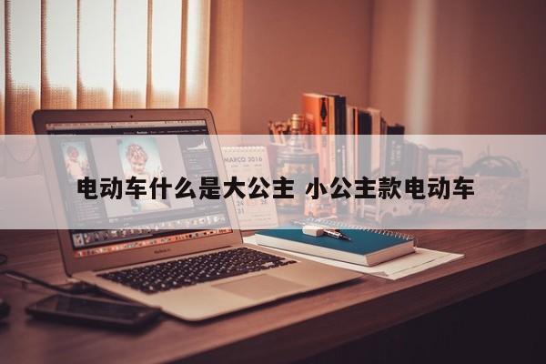电动车什么是大公主 小公主款电动车