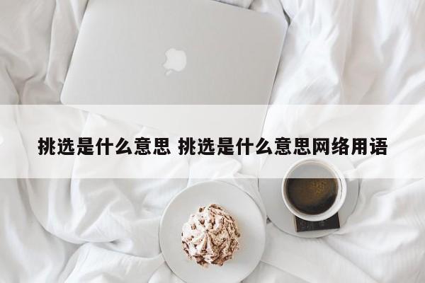 挑选是什么意思 挑选是什么意思网络用语