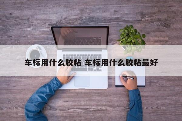 车标用什么胶粘 车标用什么胶粘最好