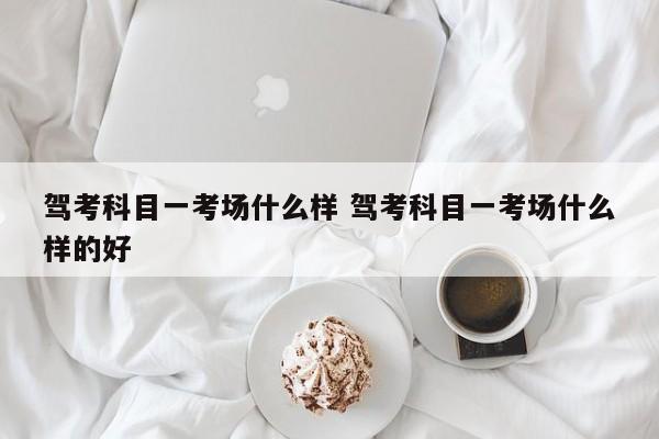 驾考科目一考场什么样 驾考科目一考场什么样的好