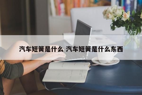汽车短簧是什么 汽车短簧是什么东西