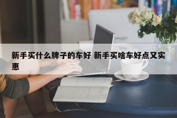 新手买什么牌子的车好 新手买啥车好点又实惠